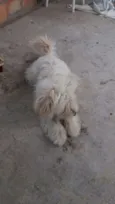 ENZO
