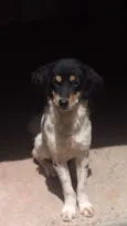 Kiara