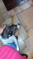 Kiara