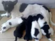 Eles não tem nome
