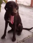 tufão