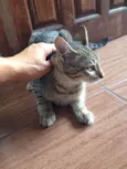 Lili