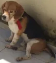 Fred