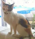 Mimizinha