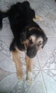 Ruh e Thor
