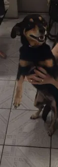 Lola