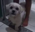 Billy