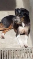 Nina