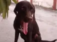 tufão