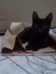 Nina