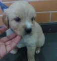 Andy