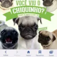 Chiquinho