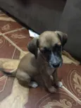 Sem nome ainda
