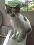 Lito