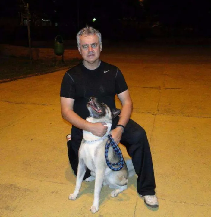Cachorro raça AKITA idade 6 ou mais anos nome Kira