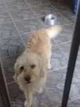 Speaky