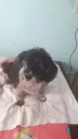 jully