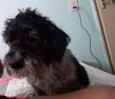 jully