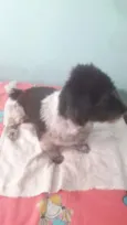 jully