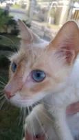 Tom