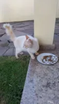 Tom