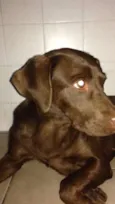 Mel
