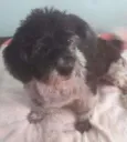 jully