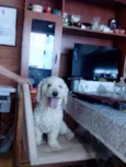 Marley