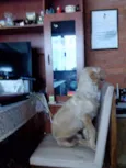 Izo
