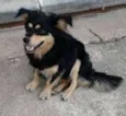 Não tem