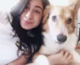 Cachorro raça SRD idade 1 ano nome Maylon