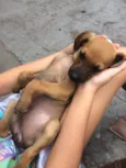 Frida