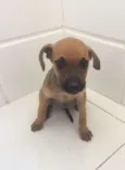 Frida