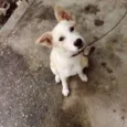Bob