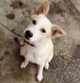Bob