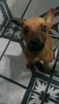 Paçoca
