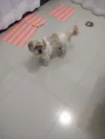 Não identificado