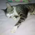 Nina e Cami