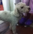 nao sei