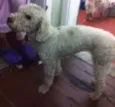 nao sei