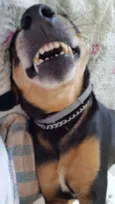 Pepeu