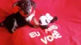 Sapeca