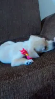 Dora