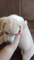 Dora
