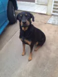 Keiko e guto