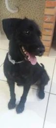 Vidinha
