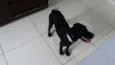 Vidinha