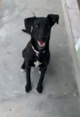 Maggie