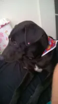 Maggie