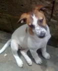 sem nome